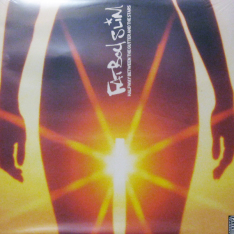 Виниловая пластинка Fatboy Slim - Halfway Between The Gutter And The Stars